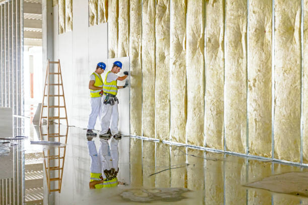 Best Eco-Friendly Insulation in , WI